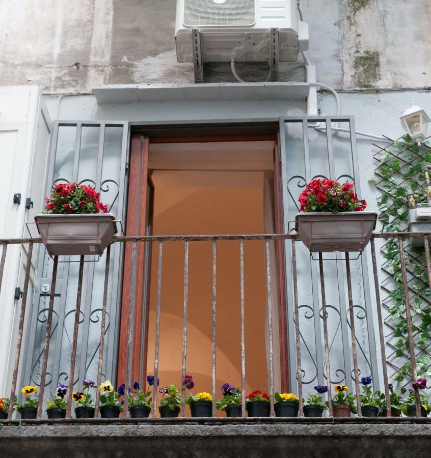 Hébergement de vacances Domus Sanfelice